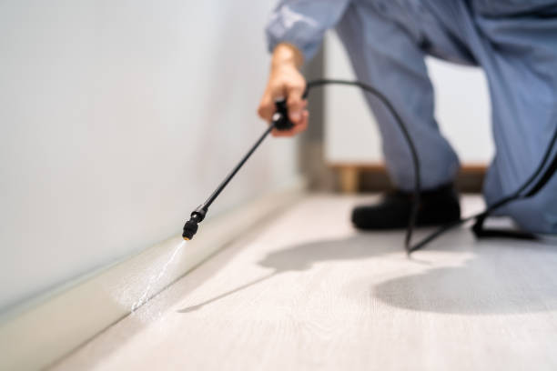 Licensed Cockroach Control service in Clinton County County, IL - Nex Pest Control