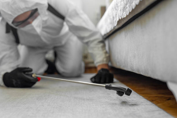 Professional Cockroach Control technician working in Clinton County County, IL